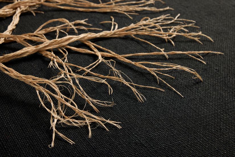 Rooted,ROOTE