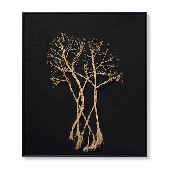 Rooted,ROOTE