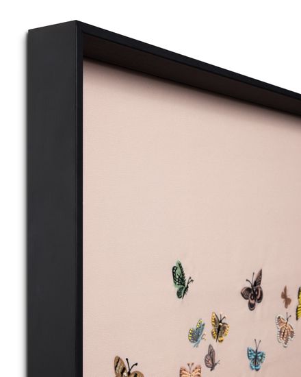 Butterflies,BUTTF