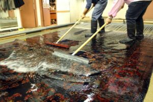rug cleaning e1620257068423