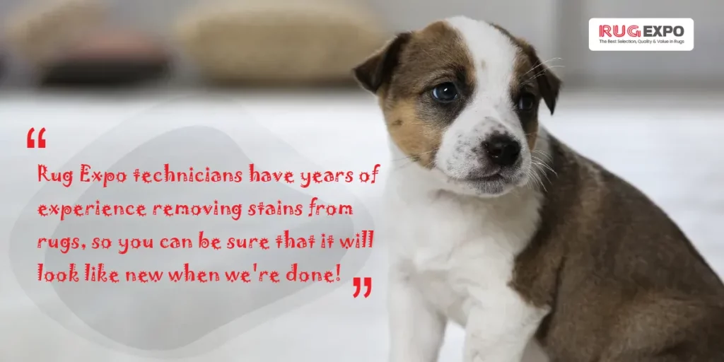 remove pet urine stains from rugs