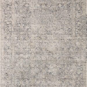 Amber Lewis x Loloi Stone / Mist Rug