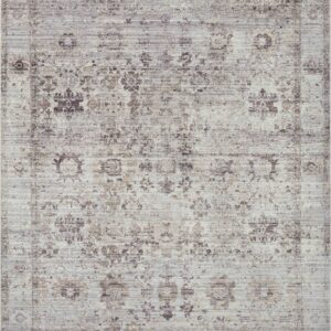 Loloi Bonney Stone / Stone / Charcoal Rug