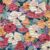 Loloi II Botanical Navy Navy / Multi Rug