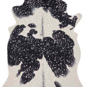 Loloi II Bryce Black Black / Silver Rug