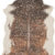 Loloi II Bryce Walnut Walnut / Champagne Rug