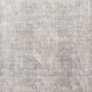 Loloi Franca Silver / Silver / Pebble Rug