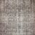 Amber Lewis x Loloi Moss / Bark Rug