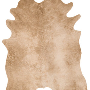 Loloi II Grand Canyon Rug