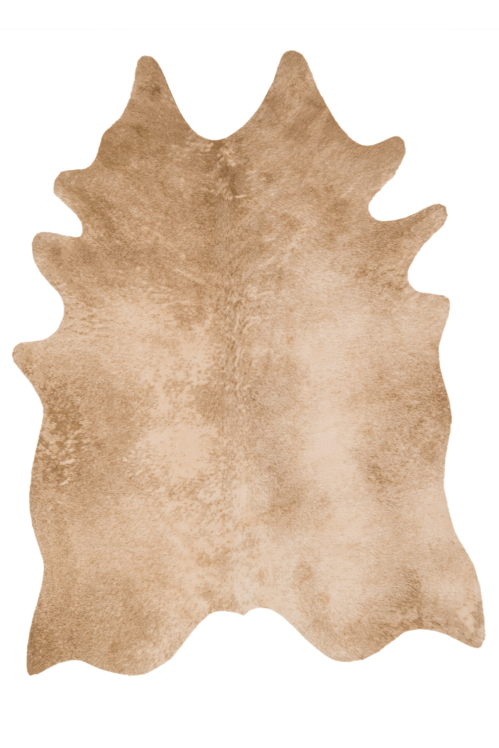 Loloi II Grand Canyon Rug