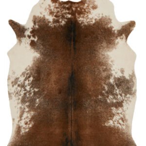 Loloi II Grand Canyon Coffee / Ivory Rug