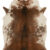 Loloi II Grand Canyon Coffee / Ivory Rug
