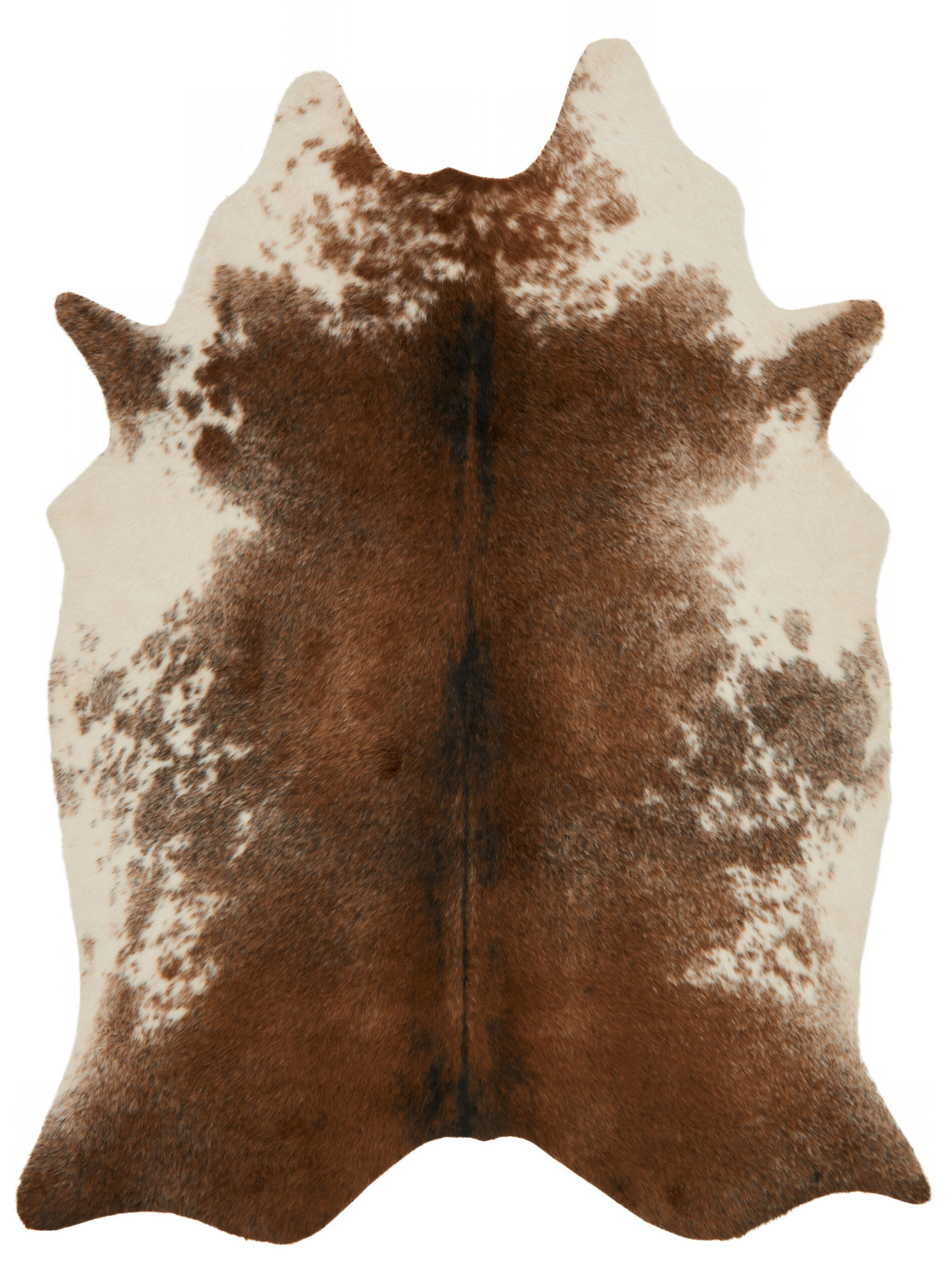 Loloi II Grand Canyon Coffee / Ivory Rug