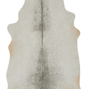 Loloi II Grand Canyon Silver / Grey Rug