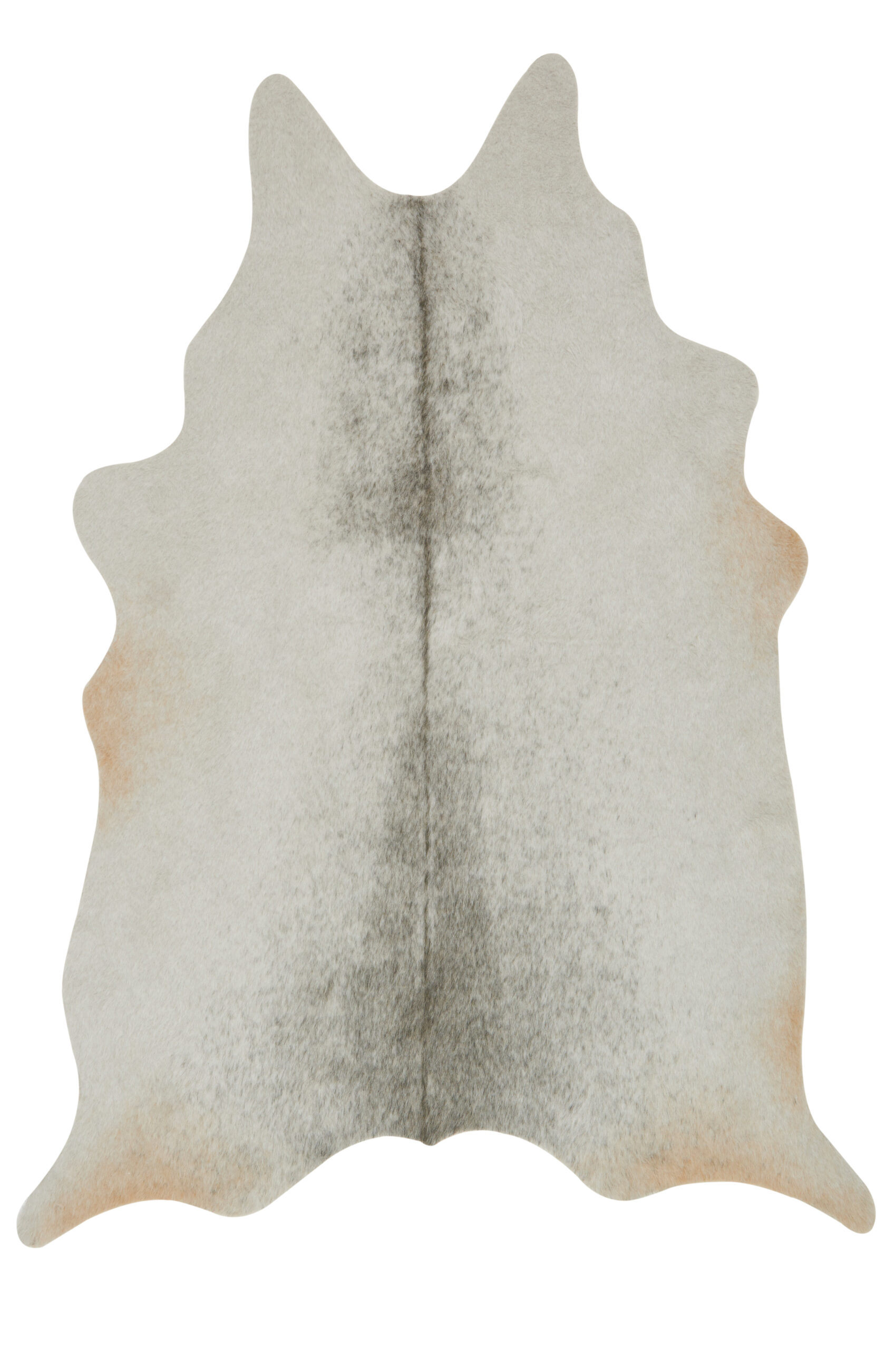 Loloi II Grand Canyon Silver / Grey Rug