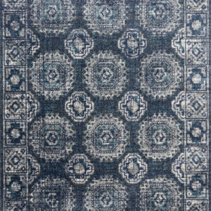 Loloi II Joaquin Rug