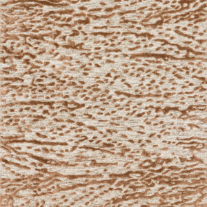 Loloi Juneau Rug