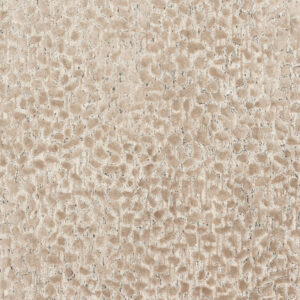 Loloi Juneau Ash / Ash / Taupe Rug