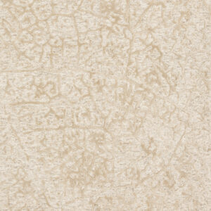 Loloi Juneau Ant Ivory Ivory / Beige Rug