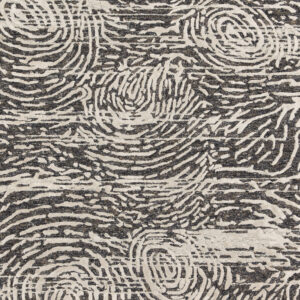 Loloi Juneau Charcoal / Charcoal / Silver Rug