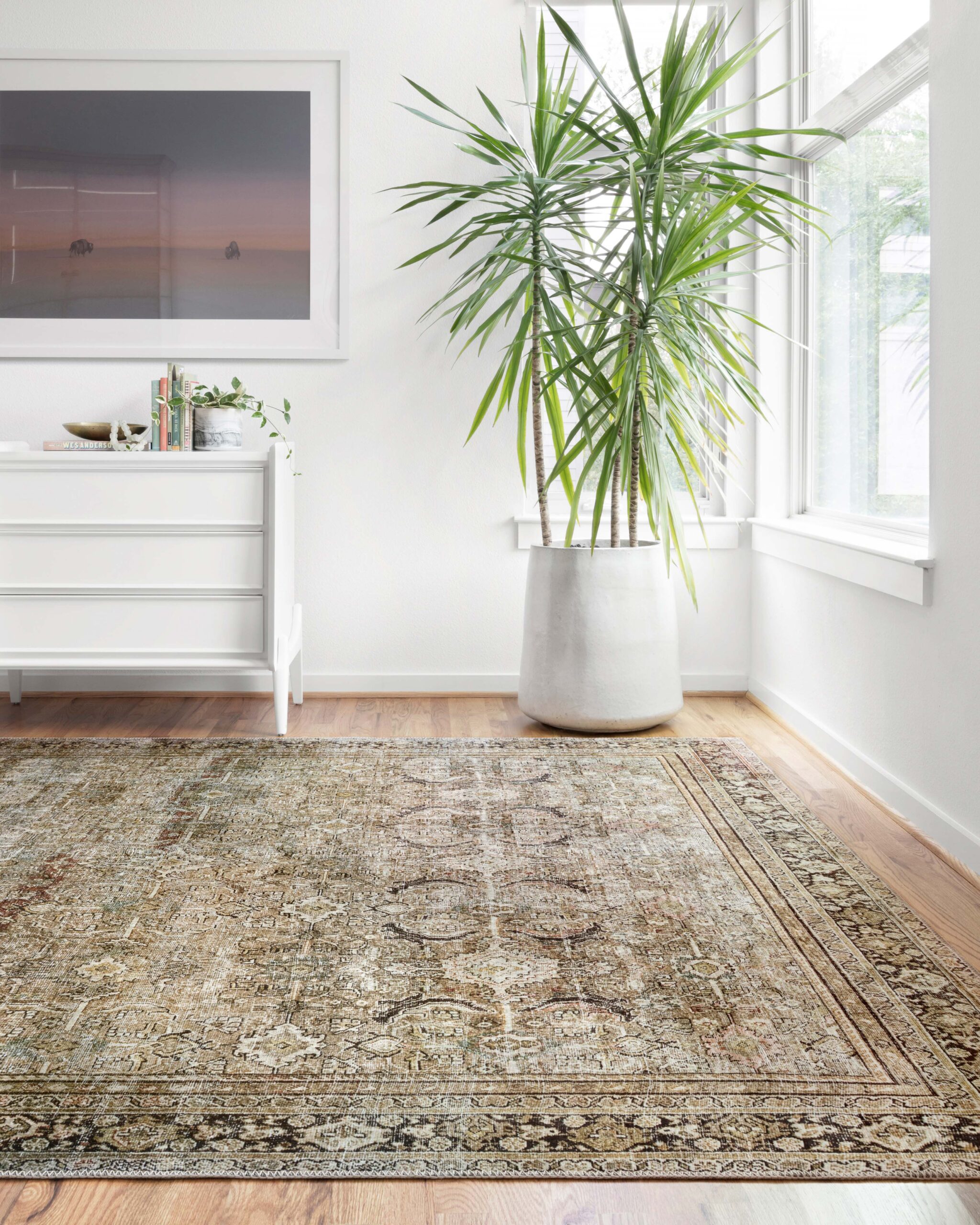 Loloi II Layla Olive Olive / Charcoal Rug