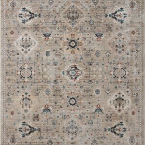Loloi Leigh Dove / Dove / Multi Rug