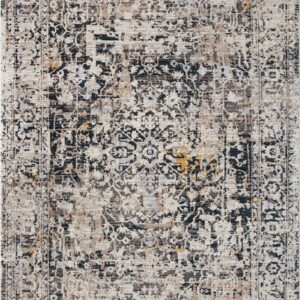 Loloi Leigh Charcoal / Charcoal / Taupe Rug