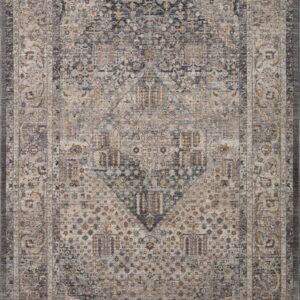 Loloi Lyra Denim / Denim / Pebble Rug