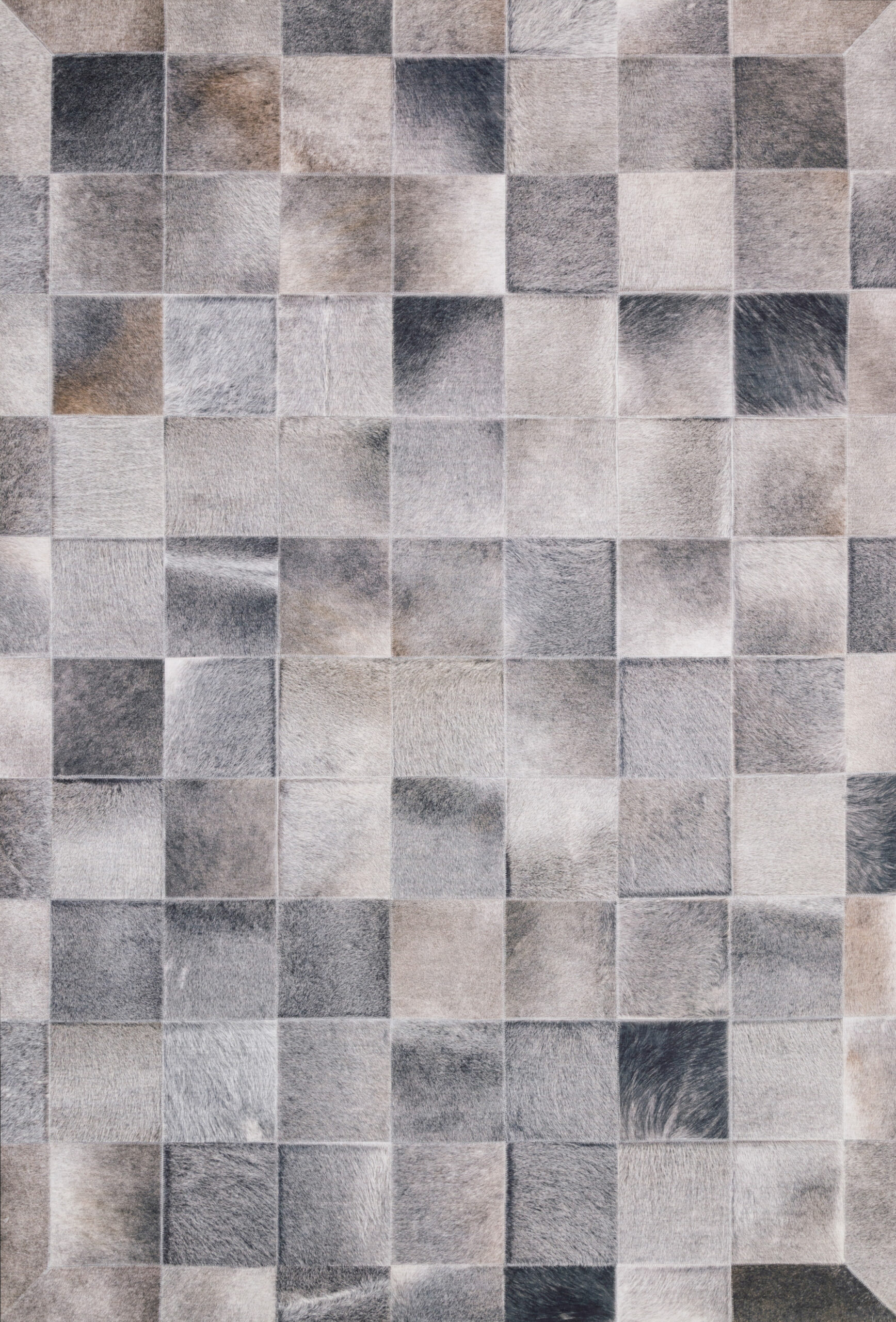 Loloi II Maddox Charcoal Charcoal / Grey Rug