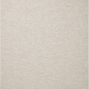 Amber Lewis x Loloi Ivory / Dove Rug