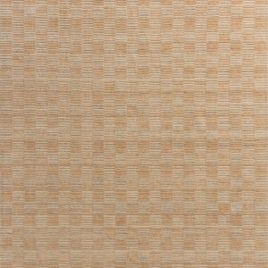 Amber Lewis x Loloi Grey Rug