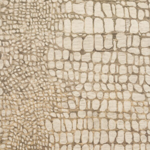Loloi Masai Neutral Rug