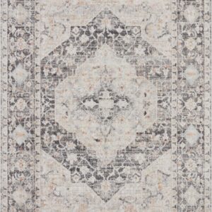Loloi II Monroe Charcoal Charcoal / Multi Rug