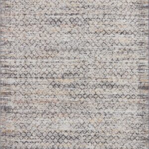 Loloi II Monroe Grey Grey / Multi Rug