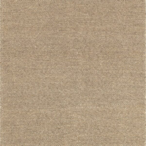 Loloi Oakwood Natural Rug