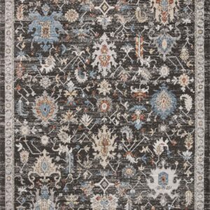 Loloi II Odette Charcoal Charcoal / Multi Rug