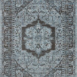 Loloi II Odette Sky Sky / Charcoal Rug