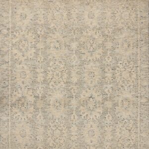 Loloi Penny Blue / Blue / Natural Rug