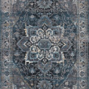 Loloi II Samra Denim Denim / Grey Rug