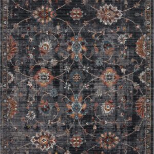 Loloi II Samra Multi Rug