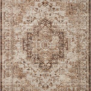 Loloi II Sorrento Mocha Mocha / Multi Rug