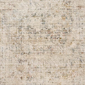 Loloi Theia Multi / Multi / Natural Rug