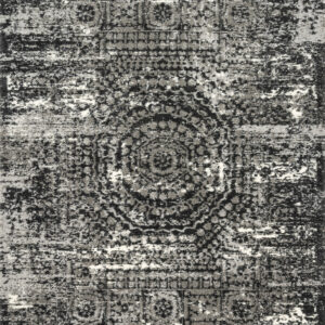 Loloi Viera Graphite / Graphite / Black Rug