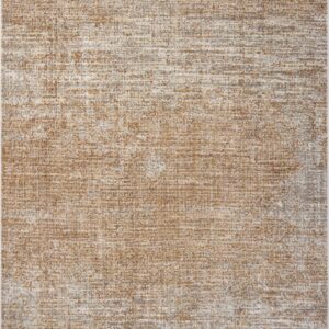 Loloi Wyatt Spice / Spice / Silver Rug