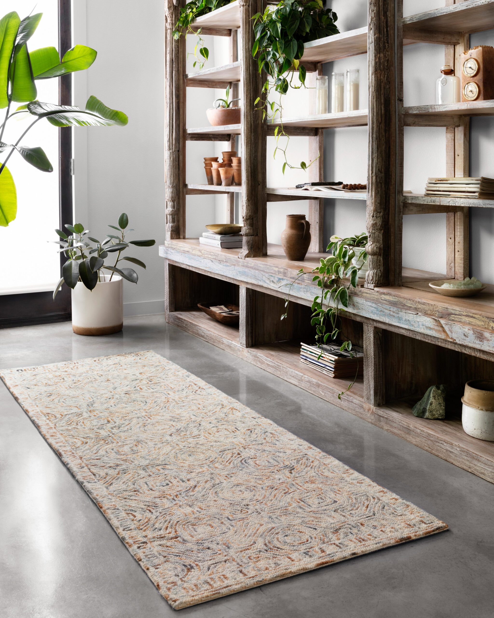 Loloi II Ziva Multi Rug