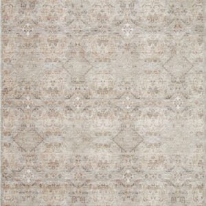 Amber Lewis x Loloi Silver / Multi Rug