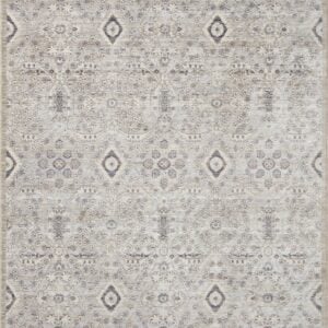 Amber Lewis x Loloi Silver / Sky Rug