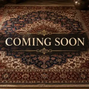Contemporary Rectangle WOOL Indian Hand Made Gray Lt Rug