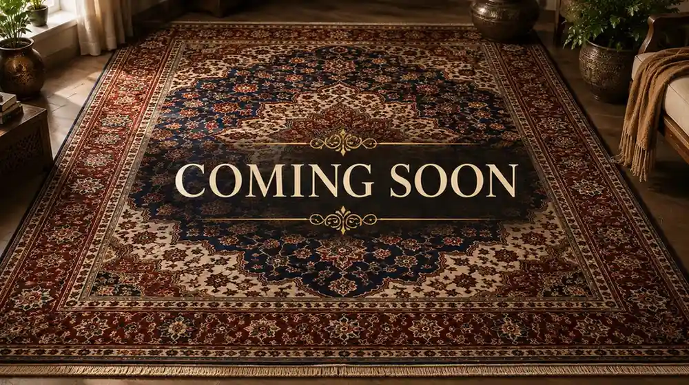 Contemporary Rectangle WOOL Indian Hand Made Gray Lt Rug