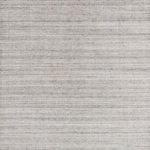 Contemporary  Rectangle   Hand Loomed Charcoal Rug
